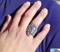 254424