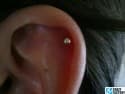 6447