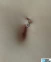 12160