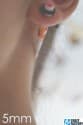 164295