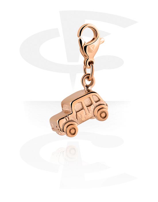 Armbånd med amuletter, Charm for charm-armbånd, Rosegold Plated Surgical Steel 316L
