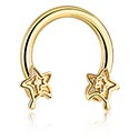 Kruhové činky, Kruhová činka s koncovkou hvězda, Pozlacená chirurgická ocel 316L ,  Pozlacená mosaz