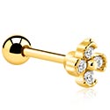 Helix & Tragus, Tragus-piercing, Gullbelagt kirurgisk stål 316L