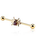 Barbells, Industrial Barbell with spider design, Gold Plated Surgical Steel 316L, Gold Plated Brass