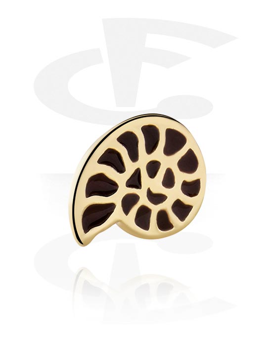 Kulor, stavar & mer, Attachment for threaded pins (plated brass, gold))  med nautilus design, Förgylld mässing