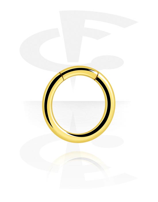 Alke za piercing, Segmentni prsten (kirurški čelik, zlatna, sjajna završna obrada), Pozlaćeni kirurški čelik 316L
