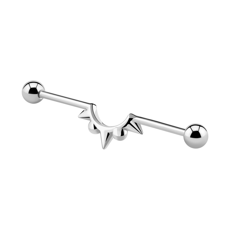 Barbell industriel Acier chirurgical 316L Barres
