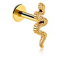 Labreti, Labret (surgical steel, gold, shiny finish) s/z kačjim dizajnom, Pozlačeno kirurško jeklo 316L