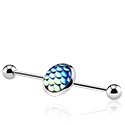 Barbells, Industrial Barbell, Surgical Steel 316L