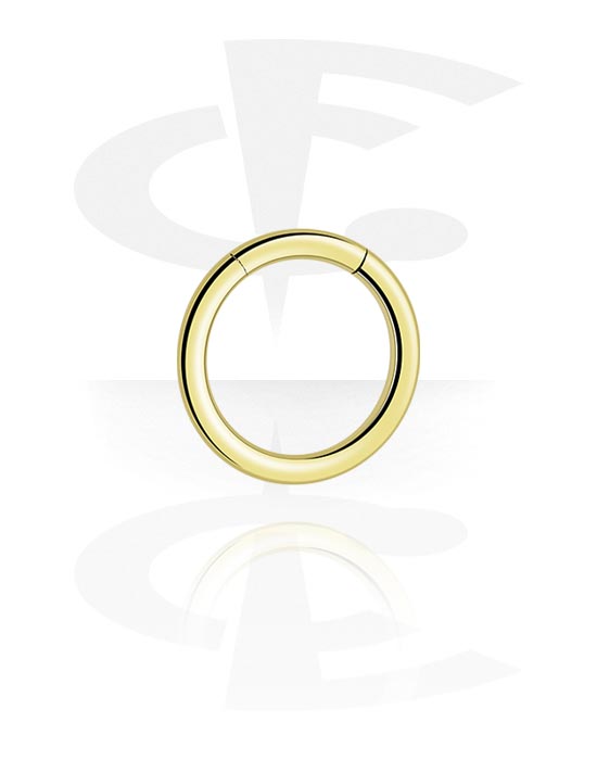Alke za piercing, Segmentni prsten (cirkon čelik, sjajna završna obrada), Cirkon čelik